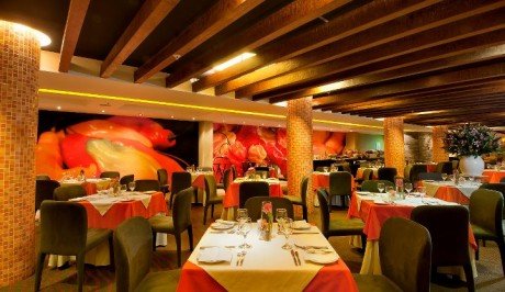 Sonesta Peru Hotels5